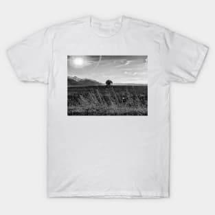 Lonely Barn  - Black And White T-Shirt